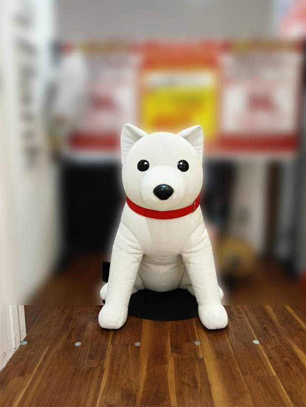 dog1