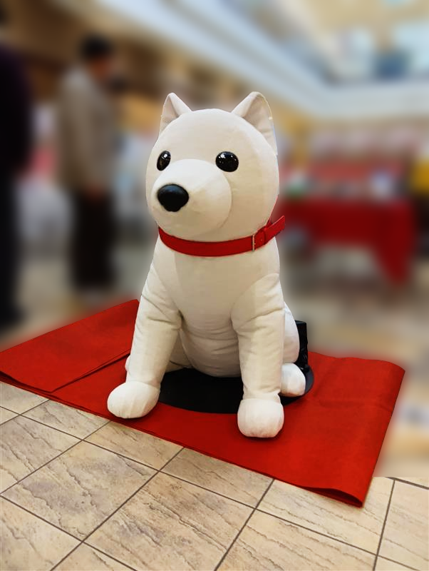 dog2